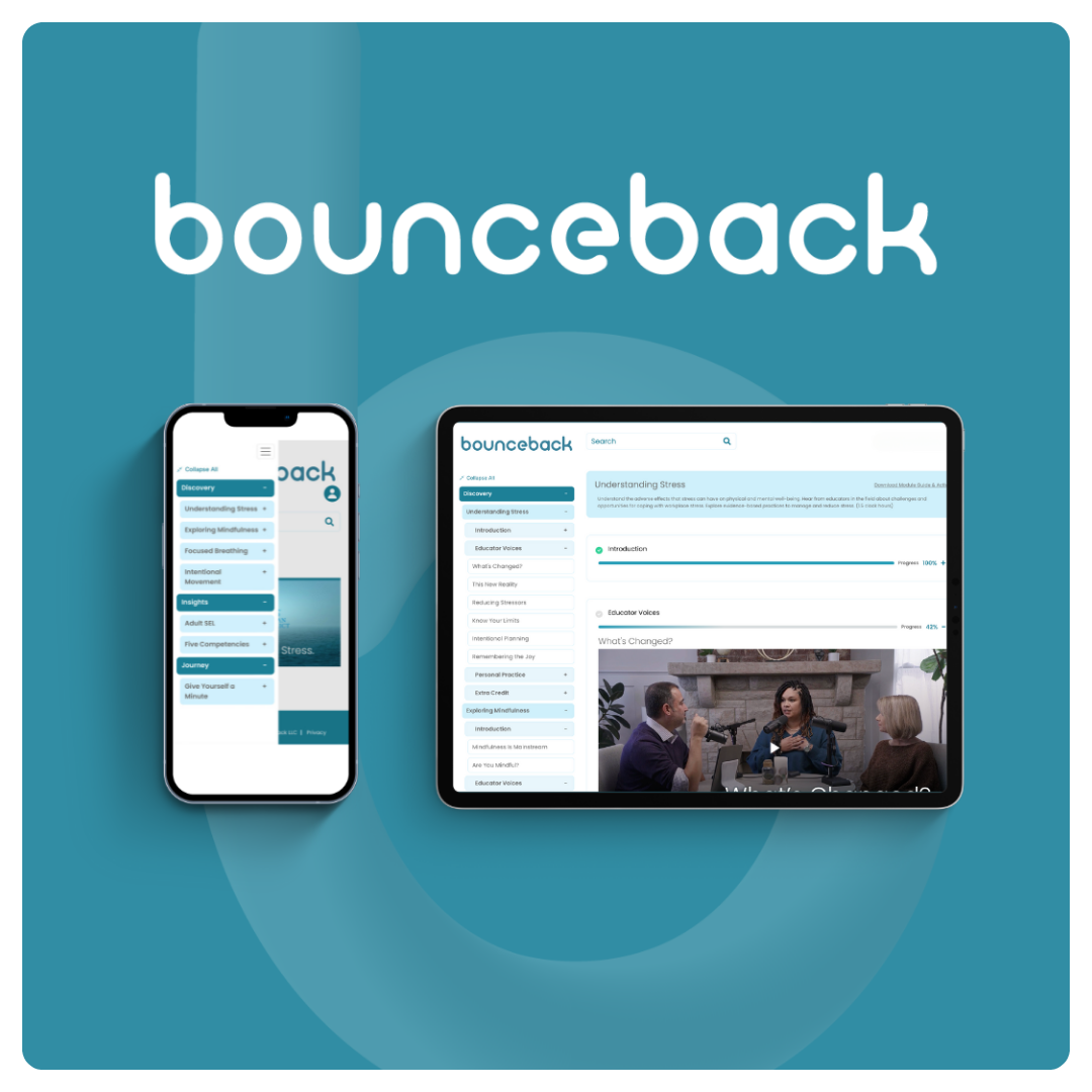 Bounceback Design Options (1)